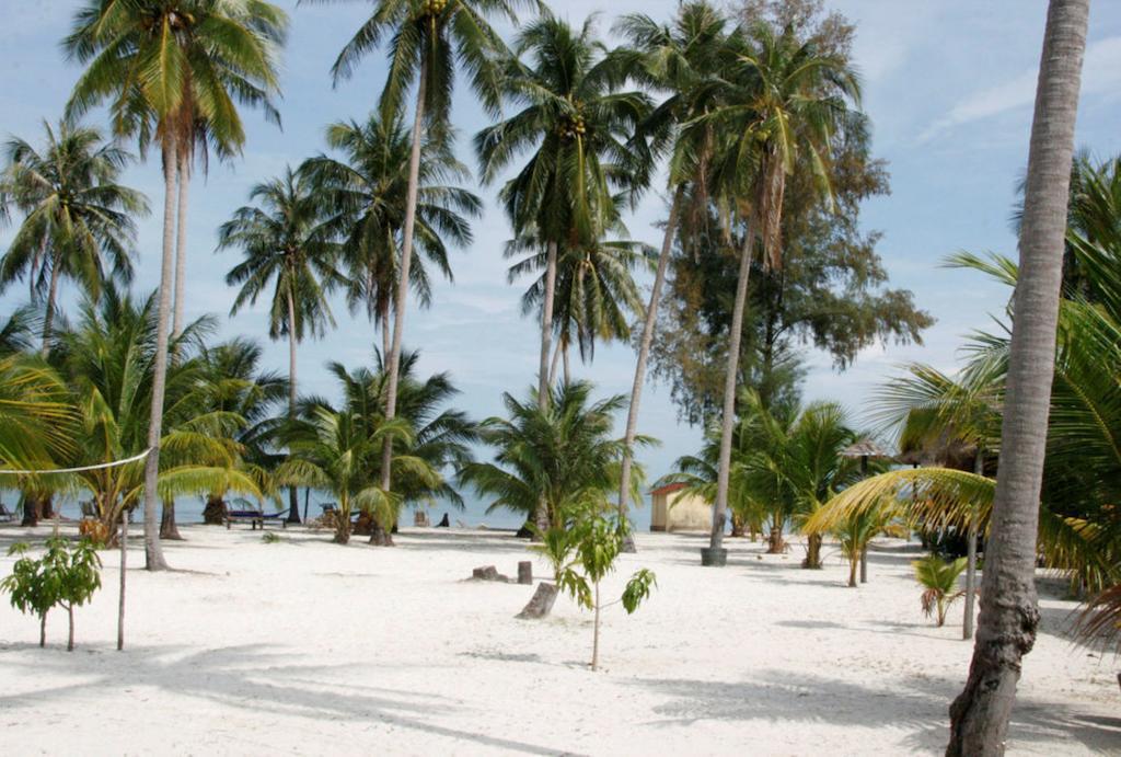 Palm Beach Bungalow Resort Prek Svay Village Dış mekan fotoğraf